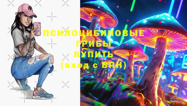кокс Алексин