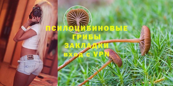 spice Абдулино