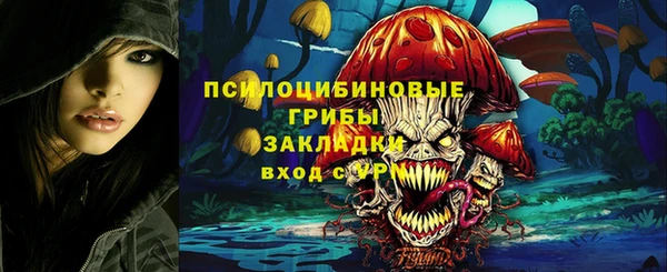 кокс Алексин