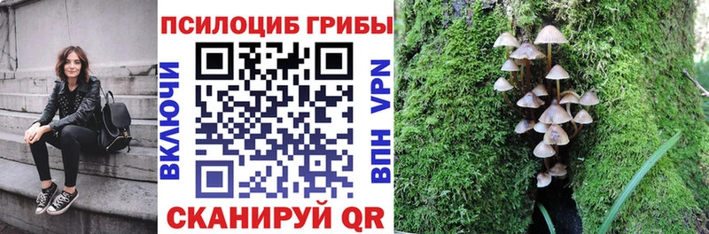 Галлюциногенные грибы Magic Shrooms Болохово