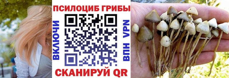 Галлюциногенные грибы Magic Shrooms darknet клад Болохово